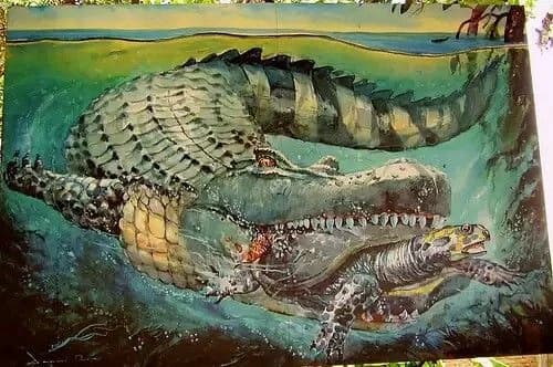 Purussaurus alfa thumbnail