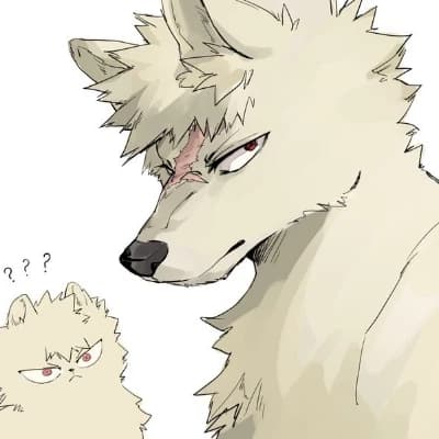 Bakugo dog thumbnail