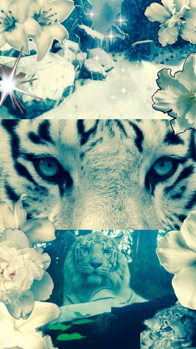Your life. Your story. (3.0) thumbnail