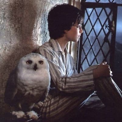 Harry James Potter thumbnail