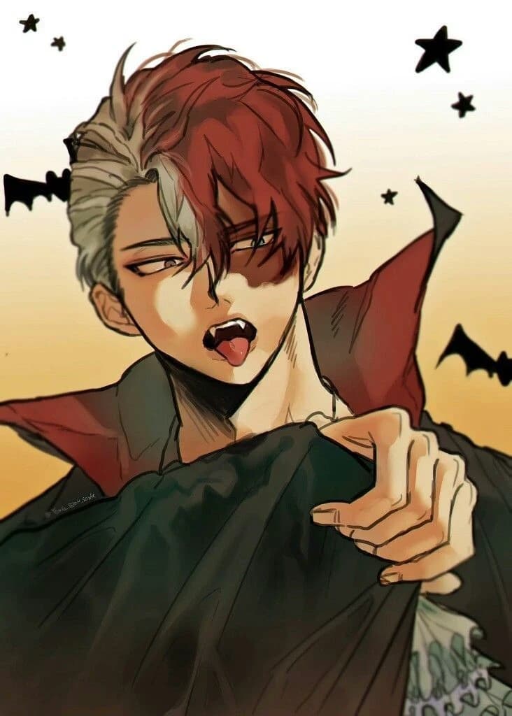 Shoto Todoroki thumbnail