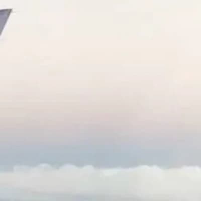 Leo// BL thumbnail