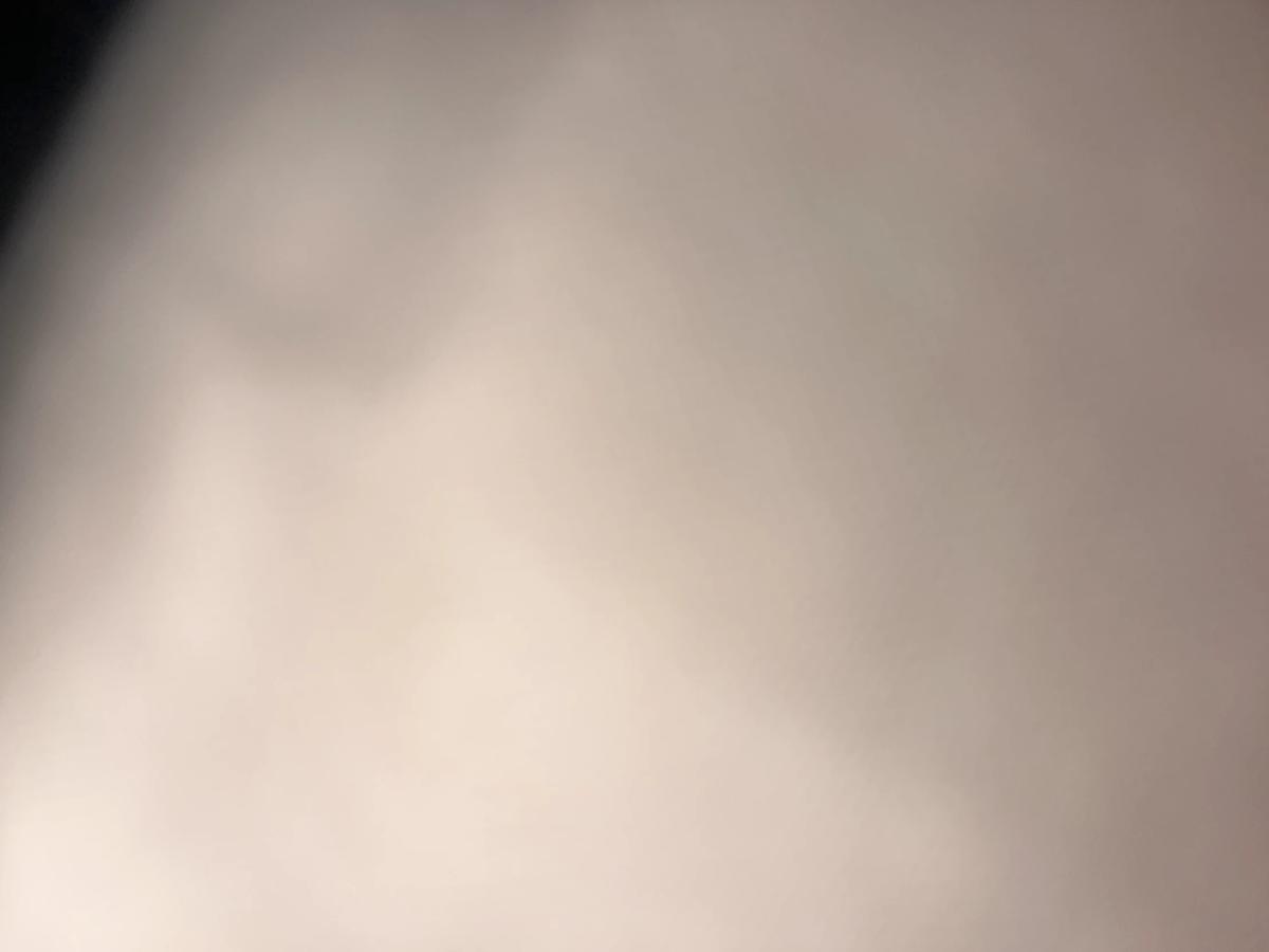 Sam thumbnail