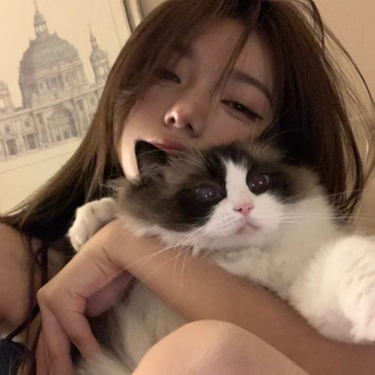Miyabi thumbnail