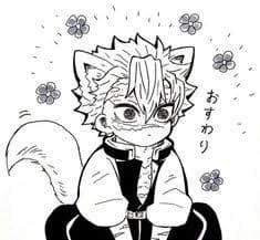 Sanemi cat thumbnail