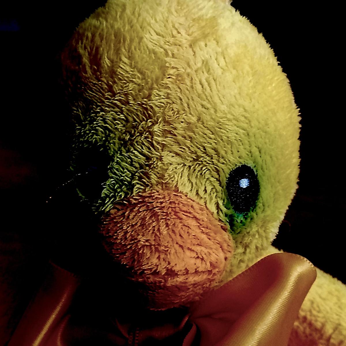 Duck thumbnail