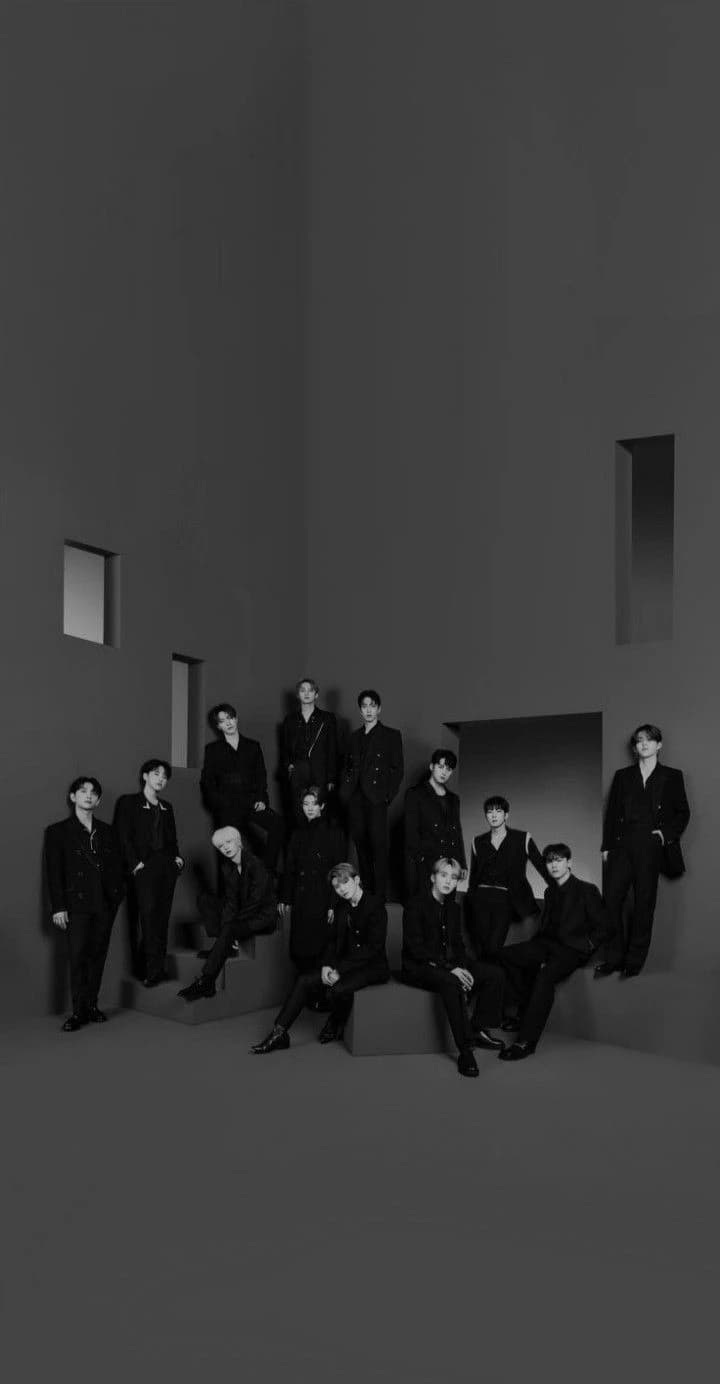 Seventeen |Pack under protection| thumbnail