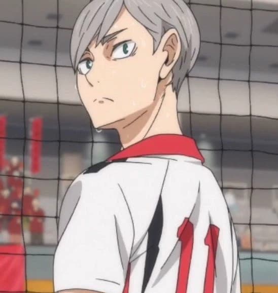 Lev Haiba thumbnail
