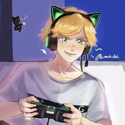 ⚫🐾{Adrien Agreste}-(Catnoir}-🐾⚫ thumbnail