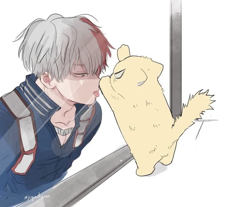 Shoto Todoroki and Cat-Bakugo. thumbnail