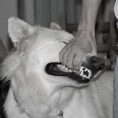 Miller. Your owner thumbnail