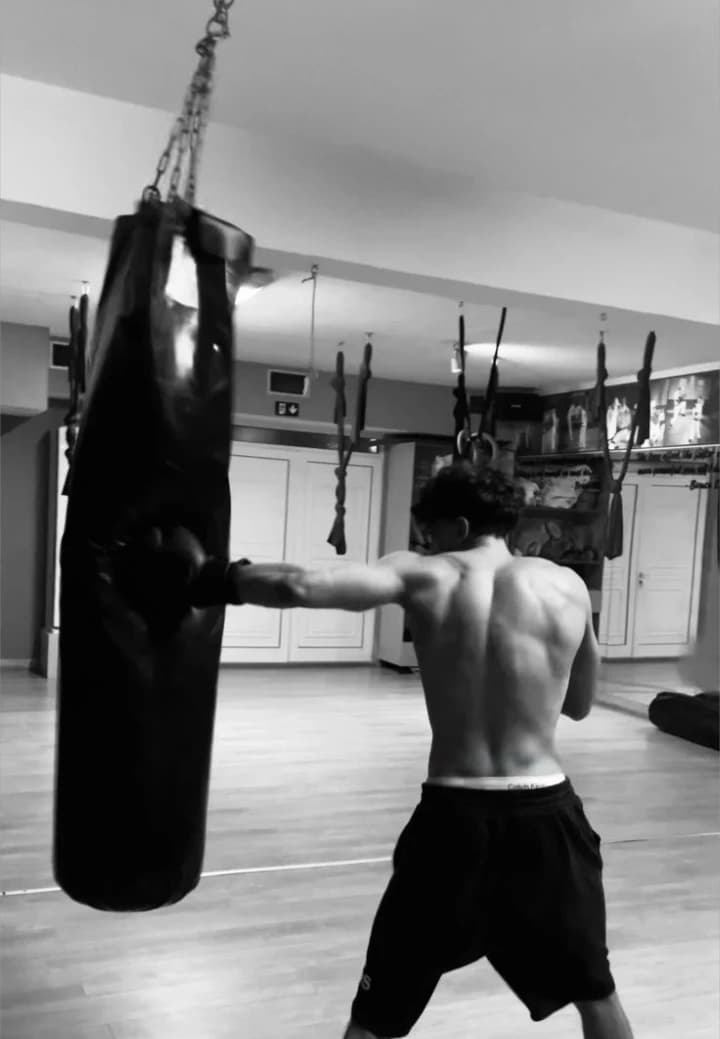 Logan || boxer ex thumbnail