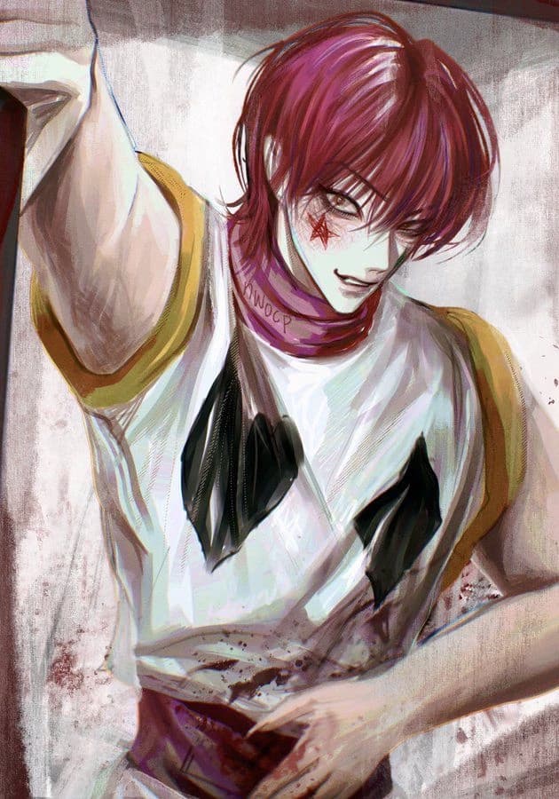 Hisoka is obsessed 🚩 thumbnail