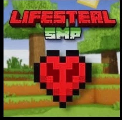 Lifesteal Smp thumbnail