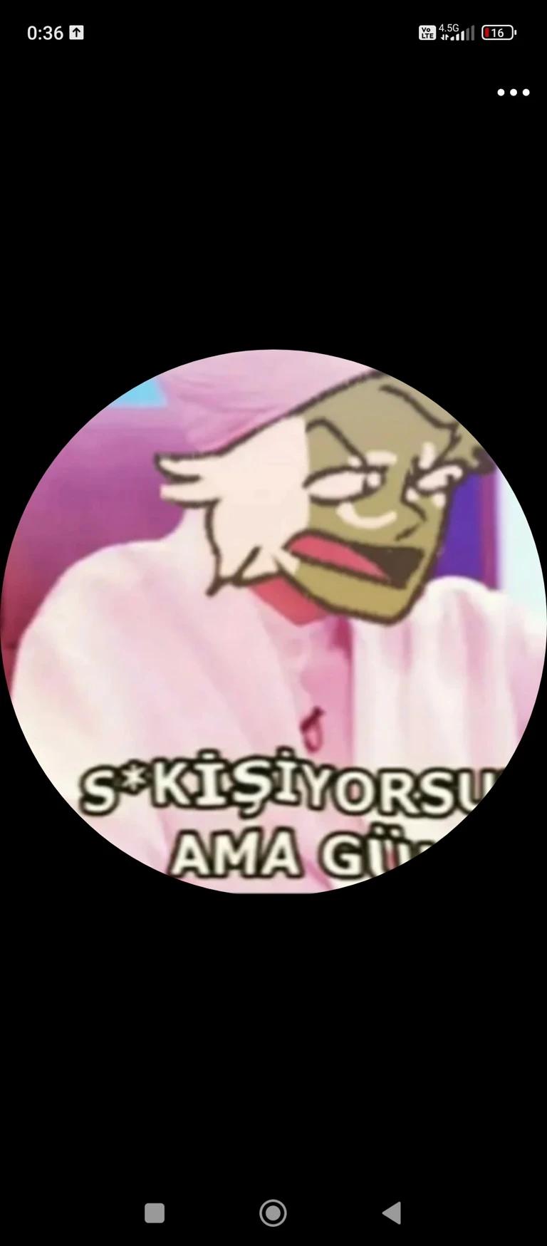 Bay Wkon thumbnail