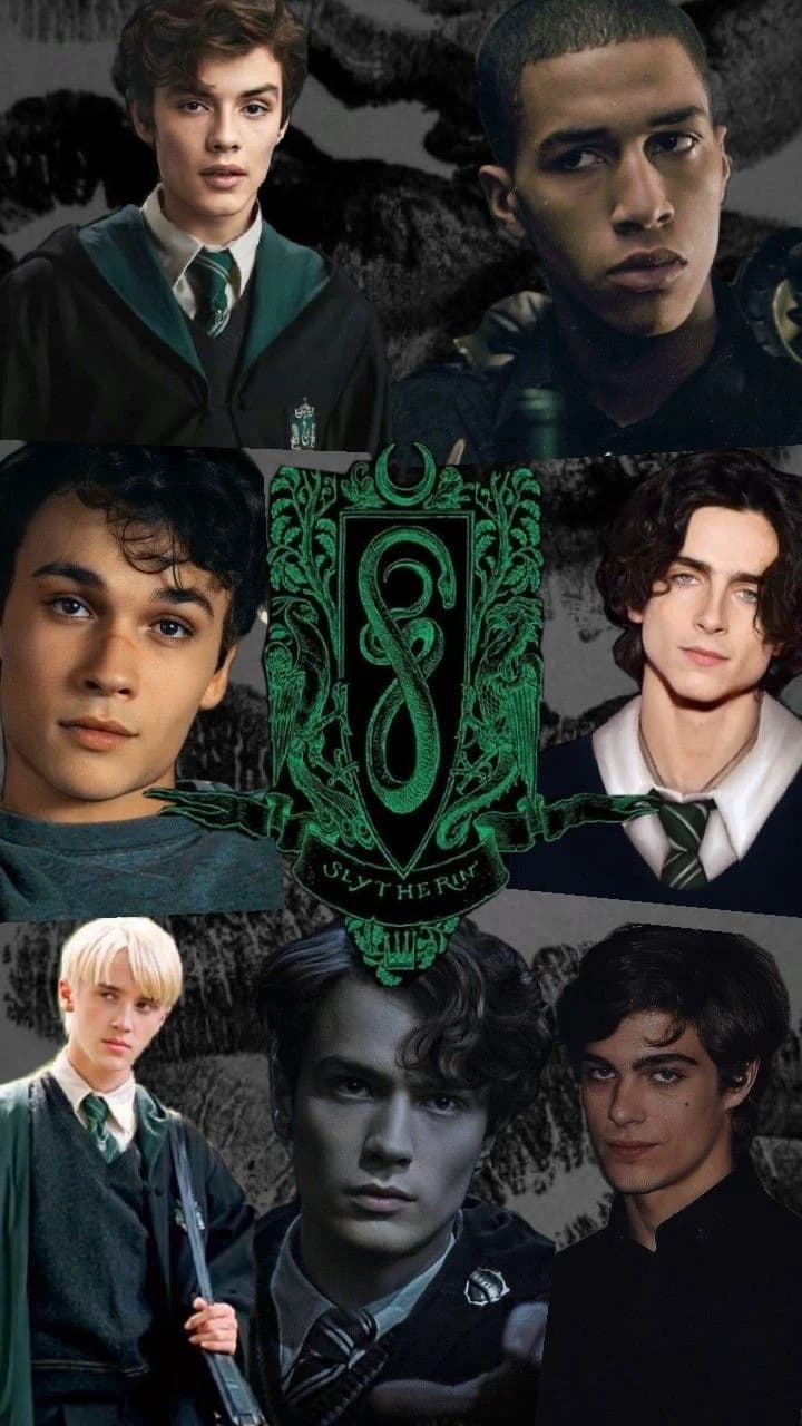 Slytherings boys 🎀🍒 thumbnail