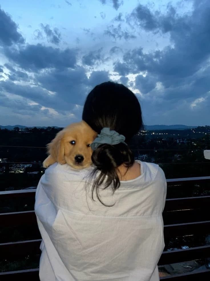 Dog Lover thumbnail