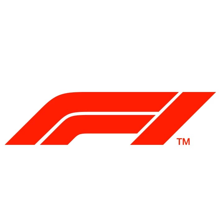 The Formula 1 game  thumbnail