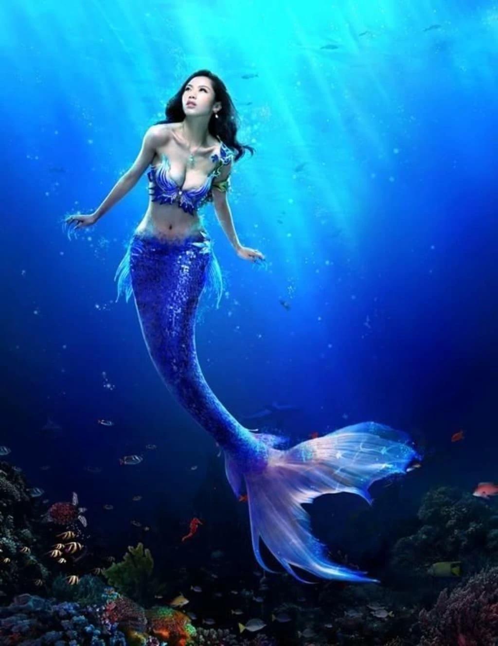 Mermaid Aquarium thumbnail