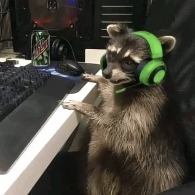 Pixel the Gamer Raccoon thumbnail