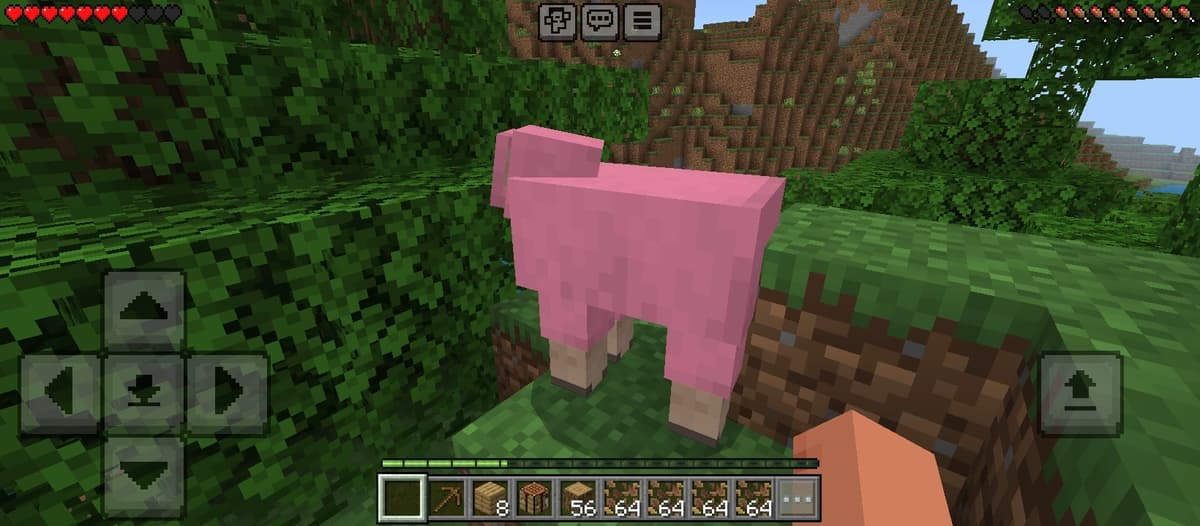 Pink sheep thumbnail