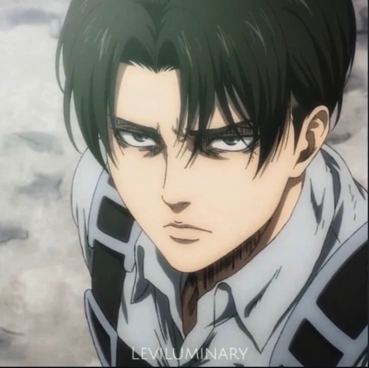 Levi Ackerman  thumbnail