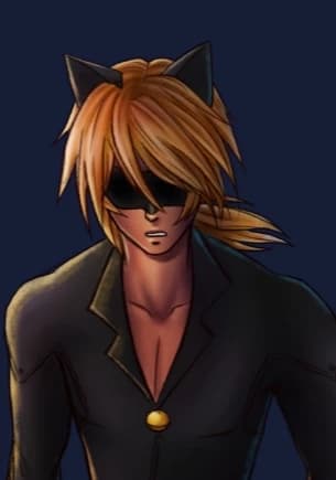 Cat noir thumbnail