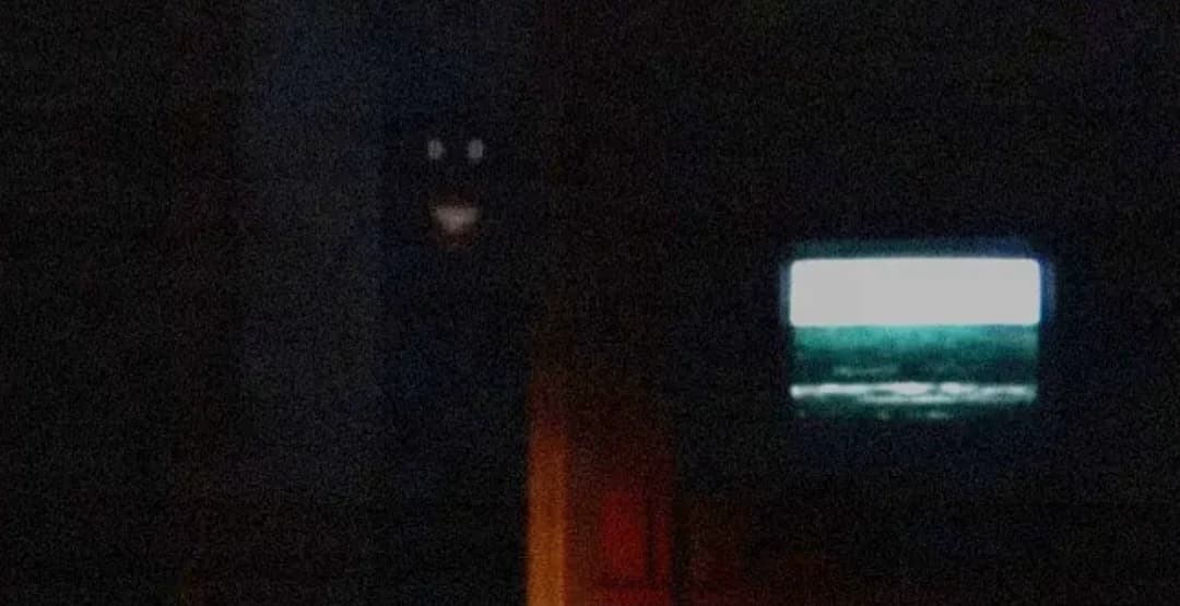 Thing in the Dark thumbnail