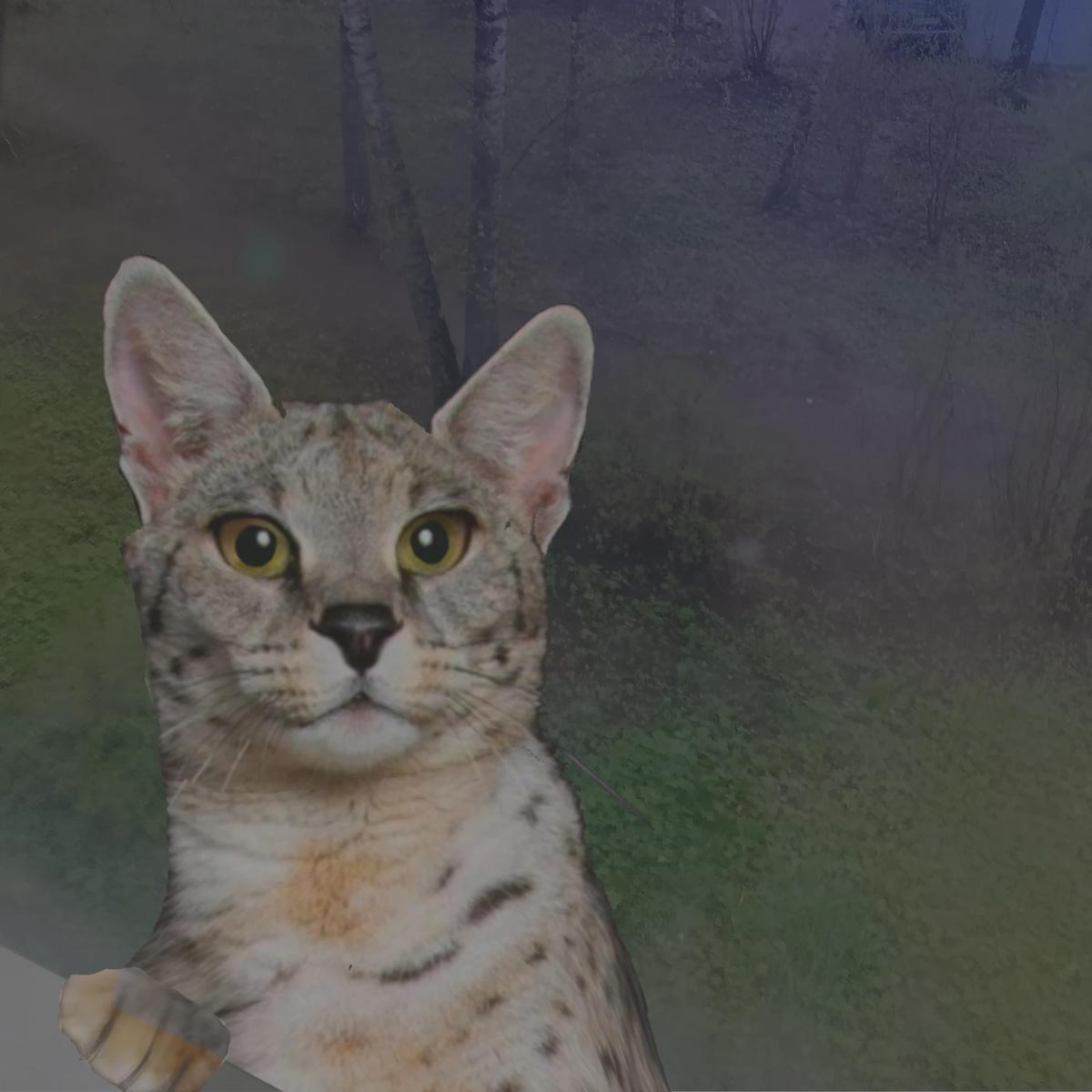 Asherah thumbnail