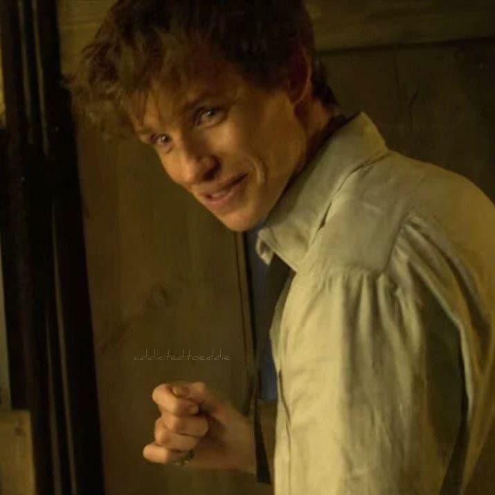 Newt Scamander thumbnail