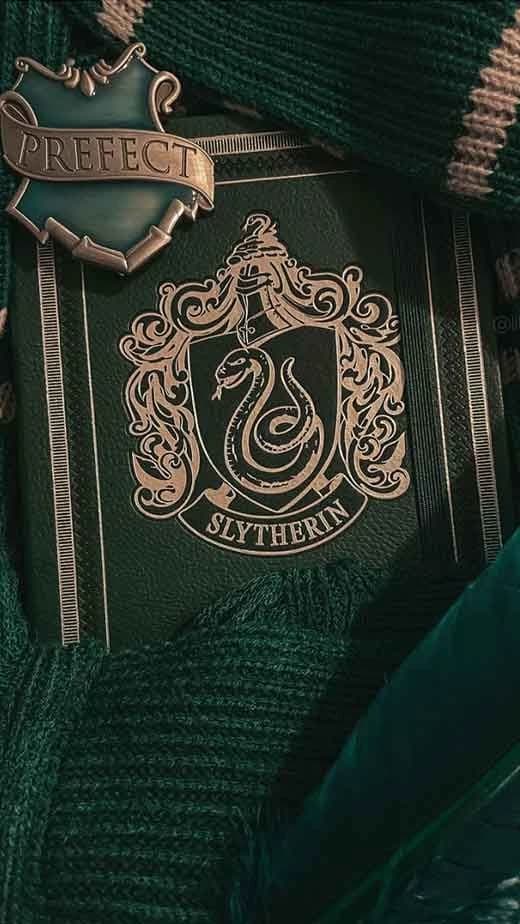 Slytherin gang  thumbnail