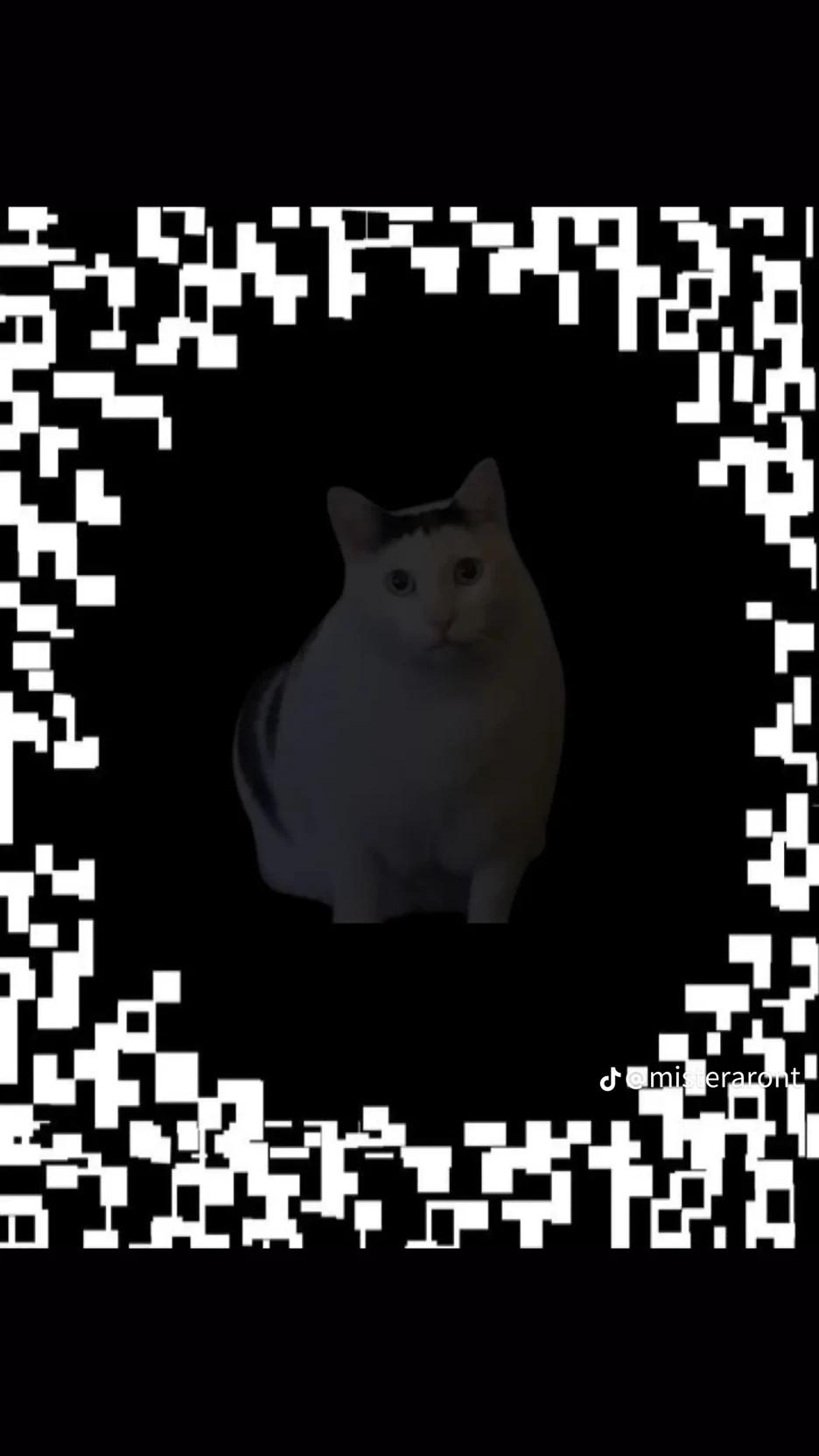 Cat thumbnail
