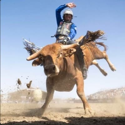 Rodeo! thumbnail