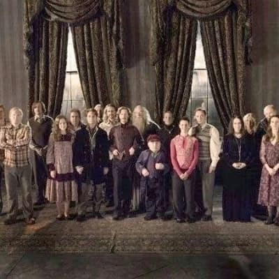 Order of the Phoenix thumbnail