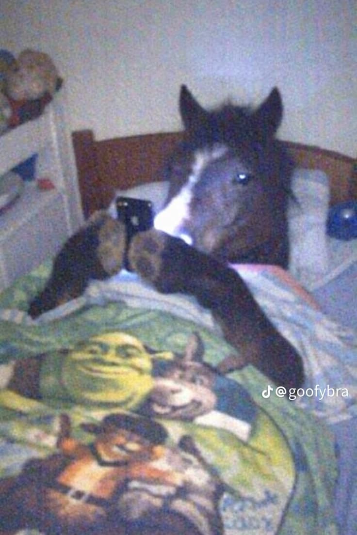 Holy Horse thumbnail
