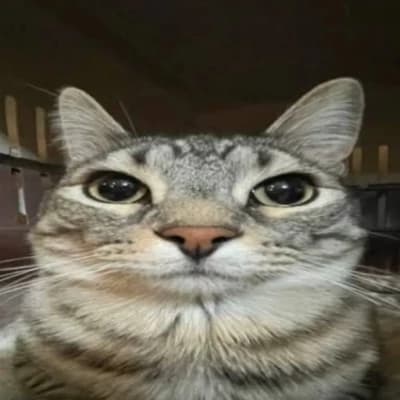Mochi thumbnail