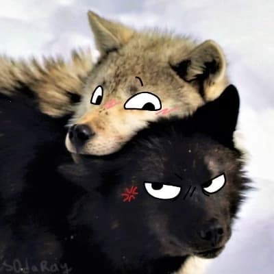Velcro (White Wolf) and Thunder (Black Wolf) thumbnail