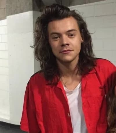 Harry styles thumbnail