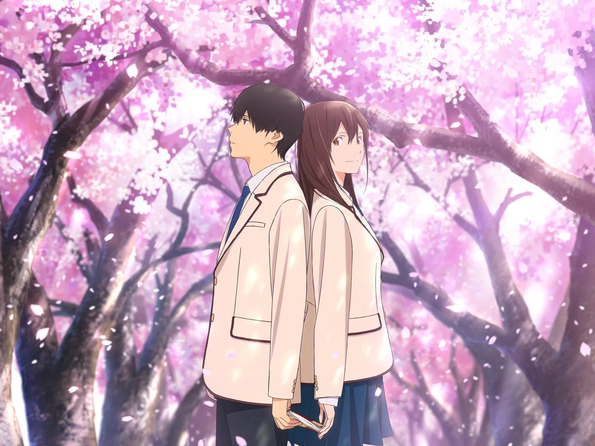 Sakura Yamauchi thumbnail