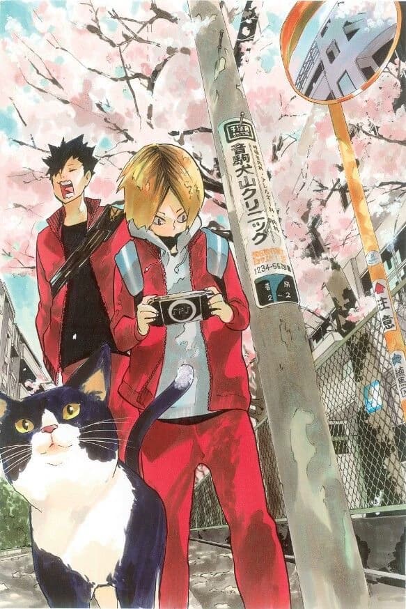 Aki thumbnail
