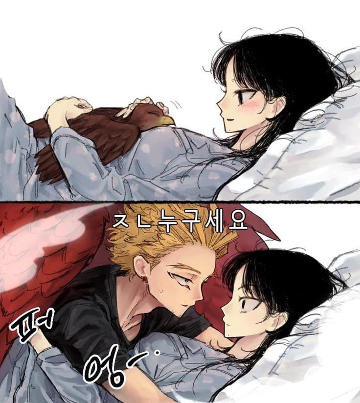 HAWKS thumbnail
