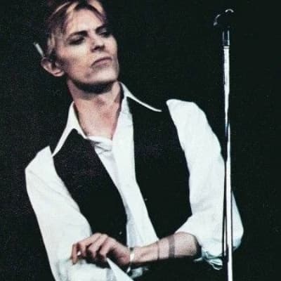 The Thin White Duke thumbnail