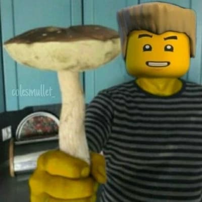 Zane Julien thumbnail