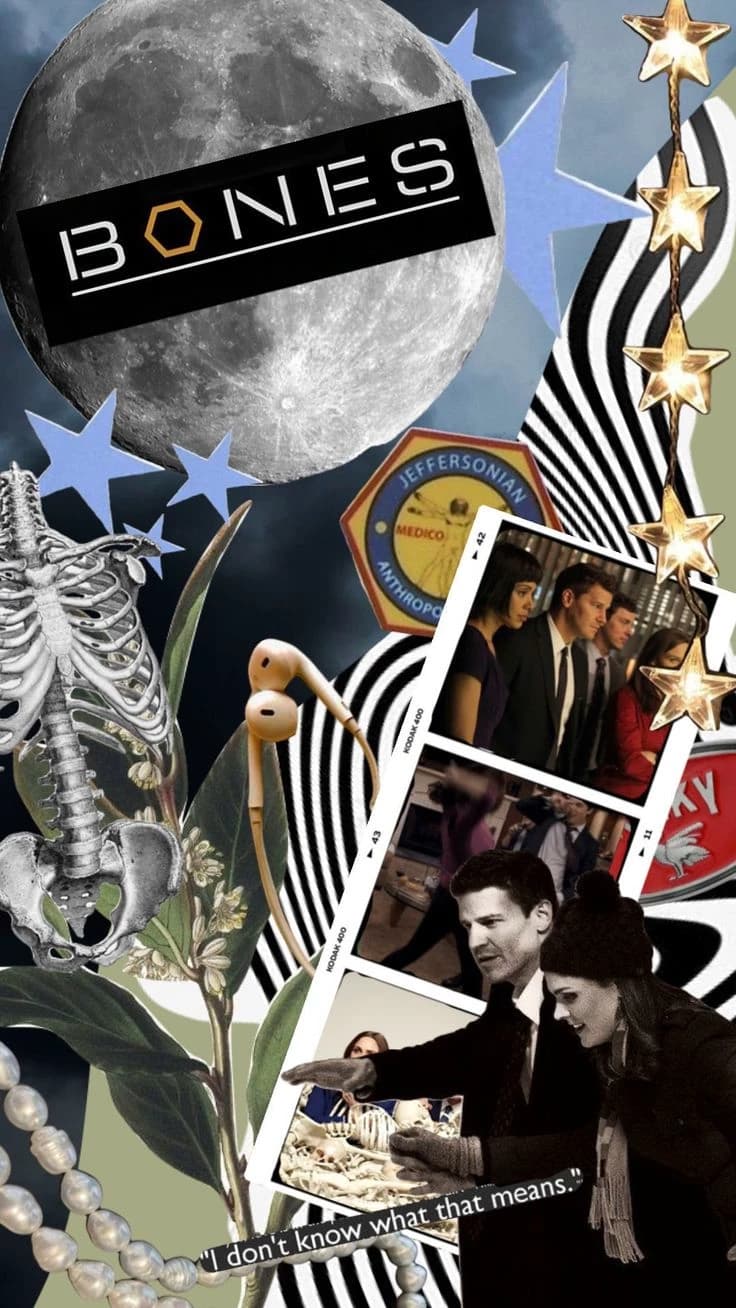 Bones x fbi thumbnail
