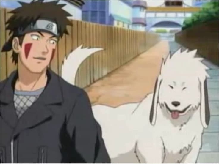 Chunin Kiba Inuzuka et ninken Akamaru thumbnail