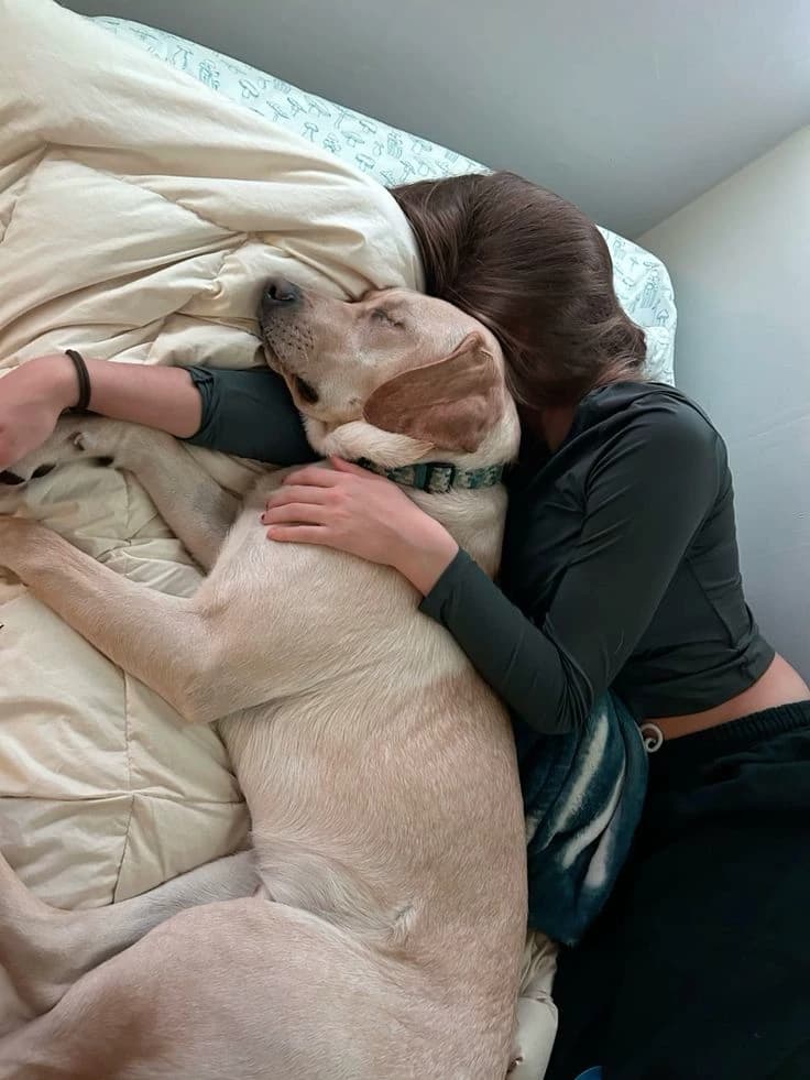 Heidi, my owner who loves me so much thumbnail