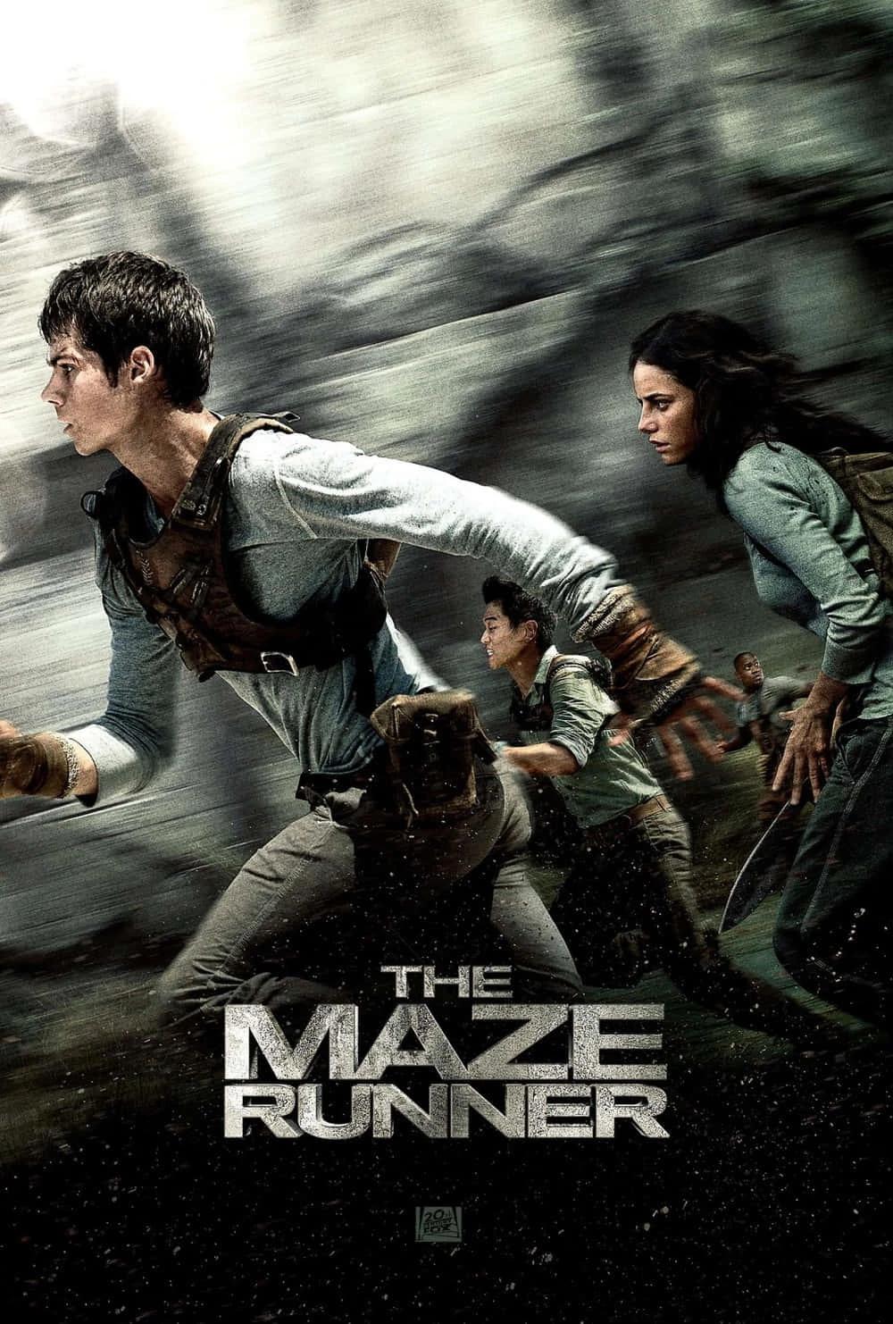Maze Runner//trial by fire thumbnail