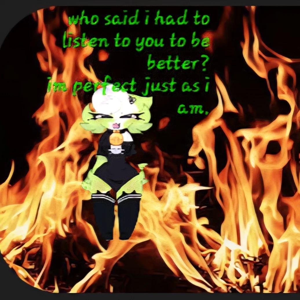 2011X and Mippie thumbnail