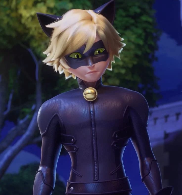 Cat noir/Adrien thumbnail