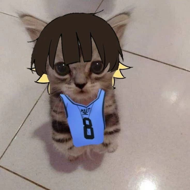 Cute kitten thumbnail
